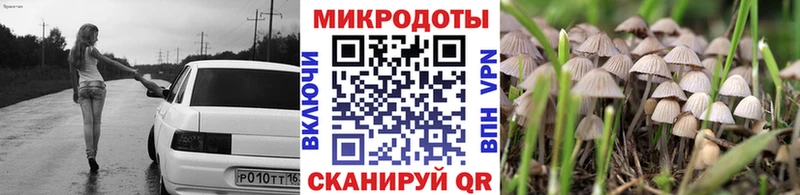 KRAKEN ONION  Сегежа  Галлюциногенные грибы мицелий  купить наркоту 